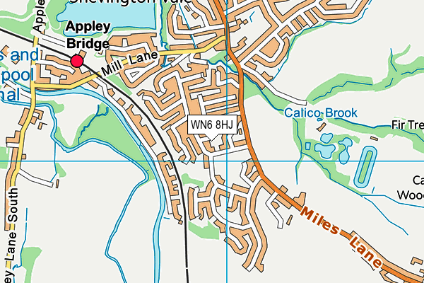 WN6 8HJ map - OS VectorMap District (Ordnance Survey)