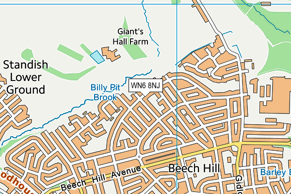 WN6 8NJ map - OS VectorMap District (Ordnance Survey)