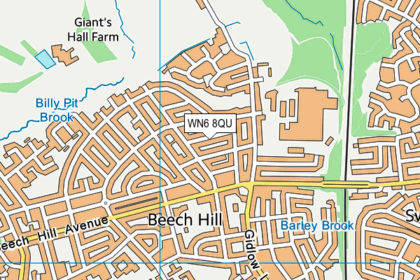 WN6 8QU map - OS VectorMap District (Ordnance Survey)