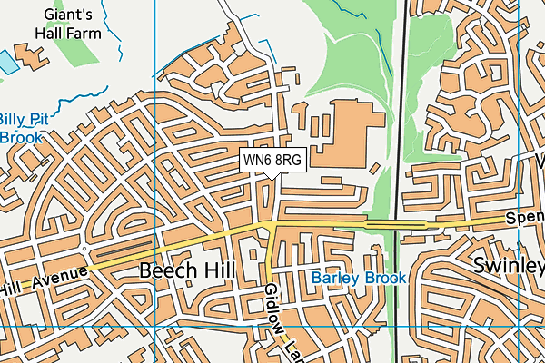 WN6 8RG map - OS VectorMap District (Ordnance Survey)