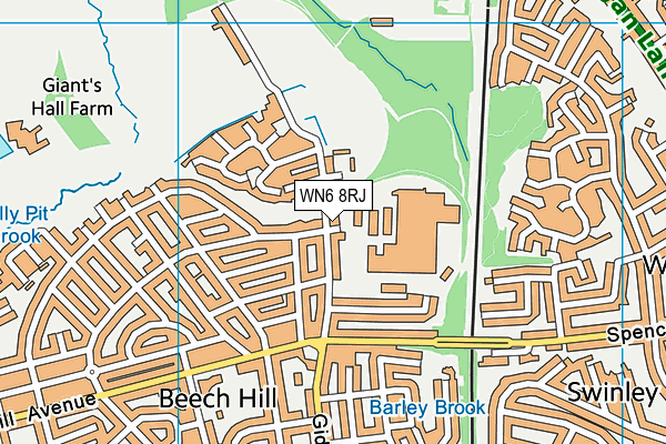 WN6 8RJ map - OS VectorMap District (Ordnance Survey)