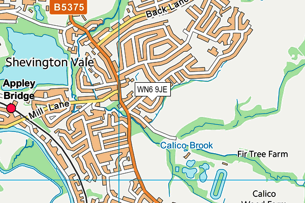 WN6 9JE map - OS VectorMap District (Ordnance Survey)