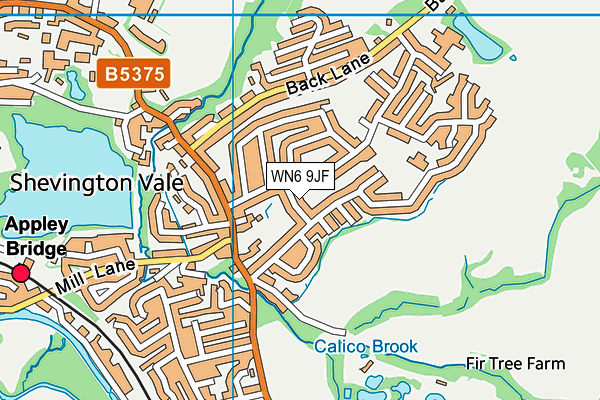 WN6 9JF map - OS VectorMap District (Ordnance Survey)