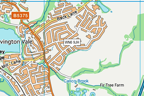 WN6 9JH map - OS VectorMap District (Ordnance Survey)