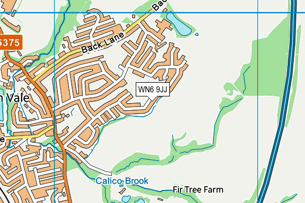 WN6 9JJ map - OS VectorMap District (Ordnance Survey)