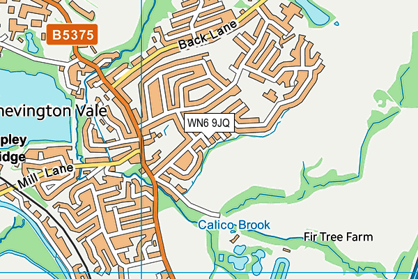 WN6 9JQ map - OS VectorMap District (Ordnance Survey)