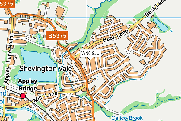 WN6 9JU map - OS VectorMap District (Ordnance Survey)