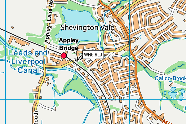 WN6 9LJ map - OS VectorMap District (Ordnance Survey)