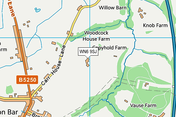 WN6 9SJ map - OS VectorMap District (Ordnance Survey)
