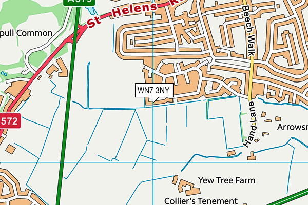 WN7 3NY map - OS VectorMap District (Ordnance Survey)