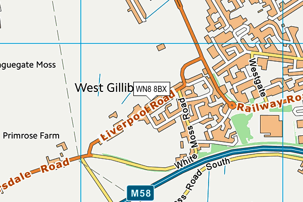 Jmo Sports Park map (WN8 8BX) - OS VectorMap District (Ordnance Survey)