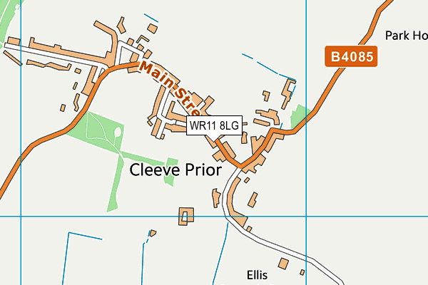 Cleeve Prior CofE (Controlled) Primary School map (WR11 8LG) - OS VectorMap District (Ordnance Survey)