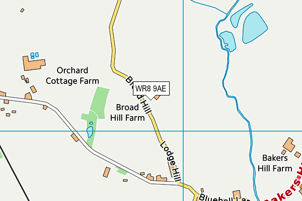 WR8 9AE map - OS VectorMap District (Ordnance Survey)