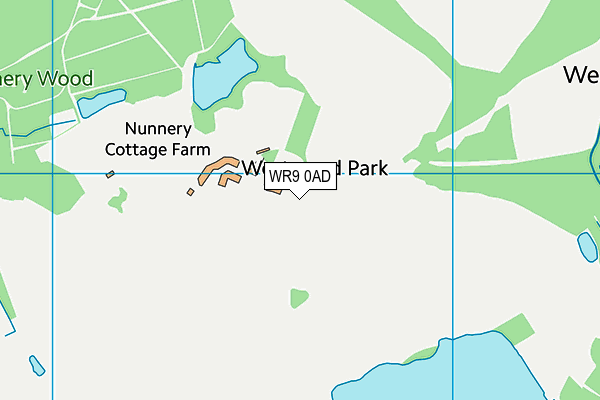 WR9 0AD map - OS VectorMap District (Ordnance Survey)