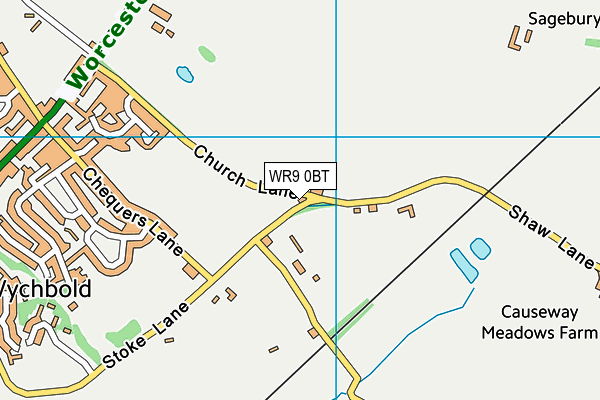 WR9 0BT map - OS VectorMap District (Ordnance Survey)