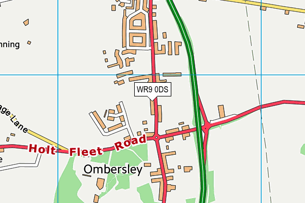 WR9 0DS map - OS VectorMap District (Ordnance Survey)