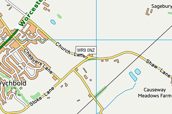 WR9 0NZ map - OS VectorMap District (Ordnance Survey)