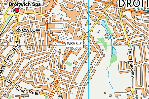 WR9 8JZ map - OS VectorMap District (Ordnance Survey)