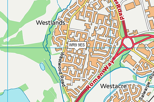 WR9 9ES map - OS VectorMap District (Ordnance Survey)