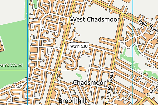 WS11 5JU map - OS VectorMap District (Ordnance Survey)