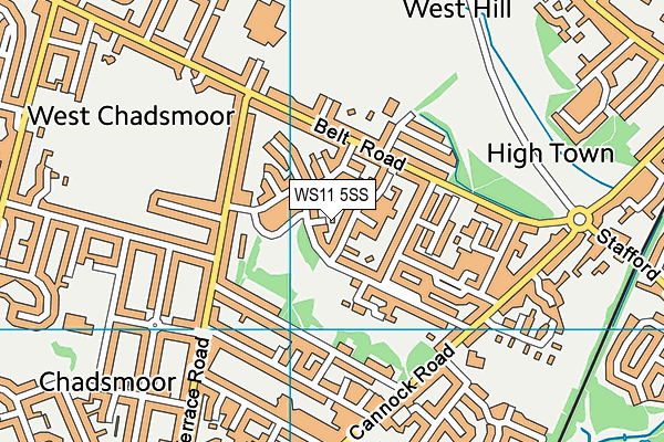 WS11 5SS map - OS VectorMap District (Ordnance Survey)