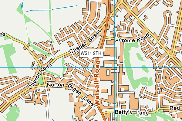 WS11 9TH map - OS VectorMap District (Ordnance Survey)