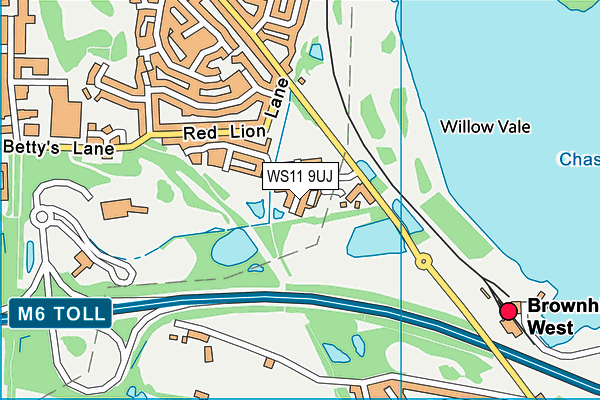 WS11 9UJ map - OS VectorMap District (Ordnance Survey)