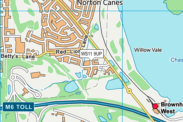WS11 9UP map - OS VectorMap District (Ordnance Survey)