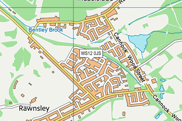 WS12 0JS map - OS VectorMap District (Ordnance Survey)