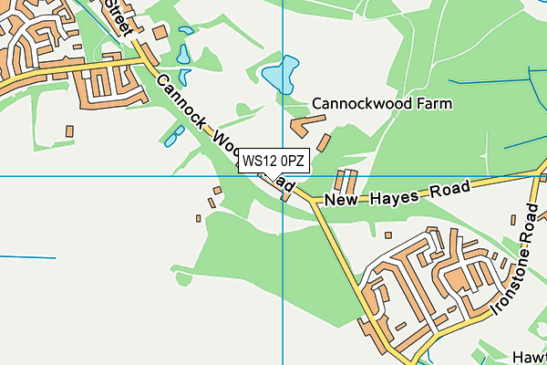 WS12 0PZ map - OS VectorMap District (Ordnance Survey)