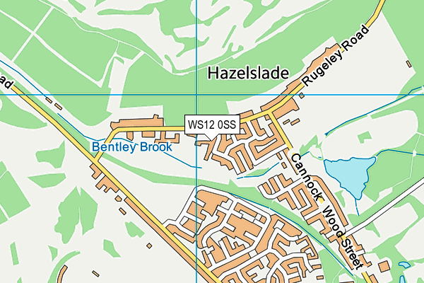WS12 0SS map - OS VectorMap District (Ordnance Survey)