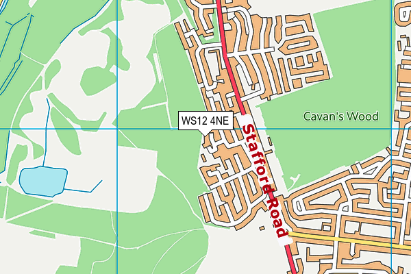 WS12 4NE map - OS VectorMap District (Ordnance Survey)