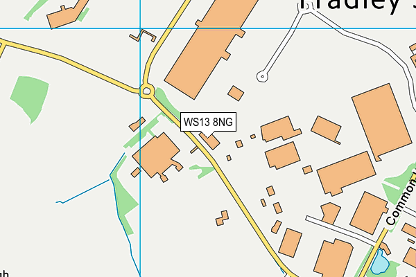WS13 8NG map - OS VectorMap District (Ordnance Survey)