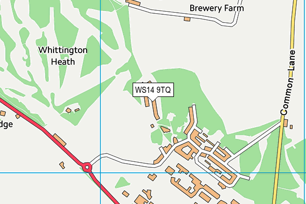 Dms Whittington map (WS14 9TQ) - OS VectorMap District (Ordnance Survey)