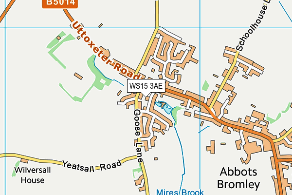 WS15 3AE map - OS VectorMap District (Ordnance Survey)
