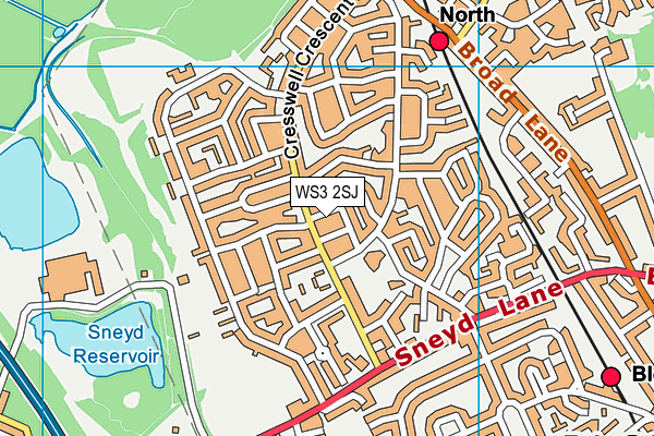 WS3 2SJ map - OS VectorMap District (Ordnance Survey)