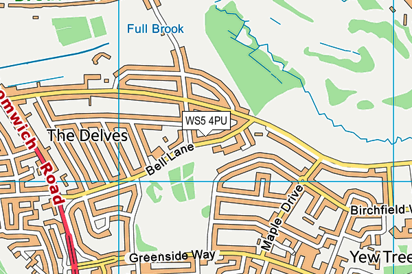 Delves Infant School map (WS5 4PU) - OS VectorMap District (Ordnance Survey)