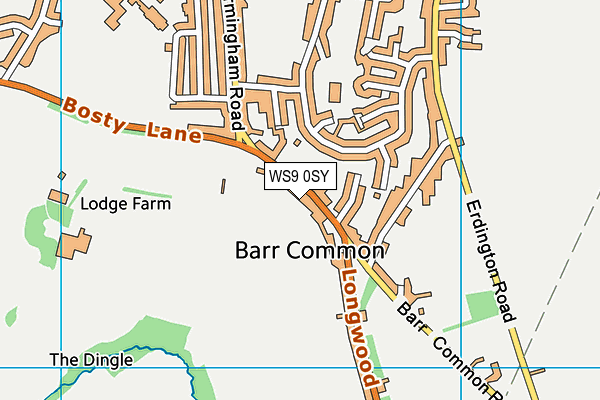 WS9 0SY map - OS VectorMap District (Ordnance Survey)