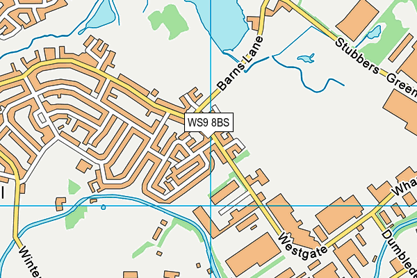 WS9 8BS map - OS VectorMap District (Ordnance Survey)