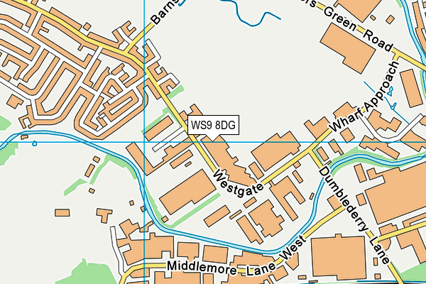 WS9 8DG map - OS VectorMap District (Ordnance Survey)