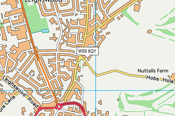 WS9 8QY map - OS VectorMap District (Ordnance Survey)