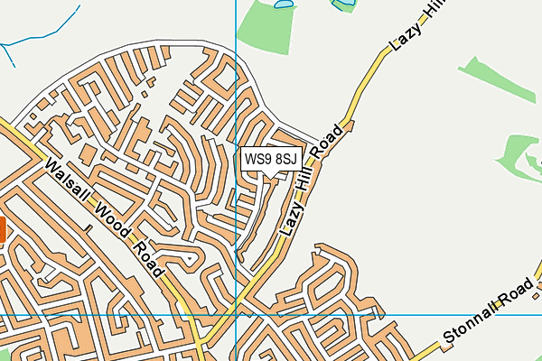 WS9 8SJ map - OS VectorMap District (Ordnance Survey)