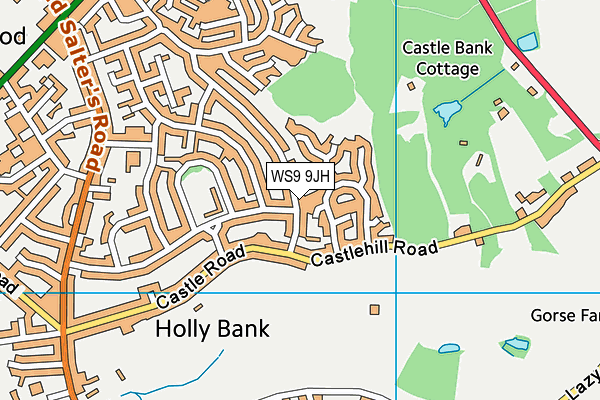 WS9 9JH map - OS VectorMap District (Ordnance Survey)