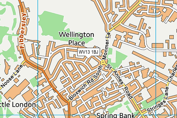 WV13 1BJ map - OS VectorMap District (Ordnance Survey)