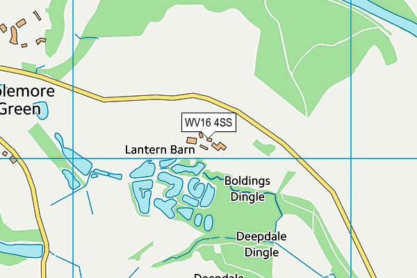 WV16 4SS map - OS VectorMap District (Ordnance Survey)