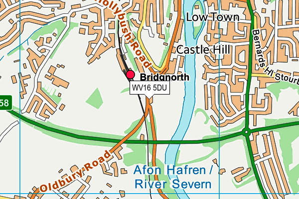 WV16 5DU map - OS VectorMap District (Ordnance Survey)