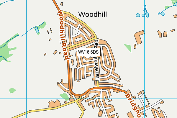 WV16 6DS map - OS VectorMap District (Ordnance Survey)