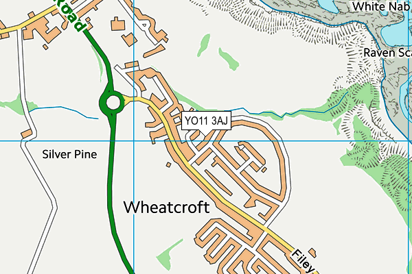 YO11 3AJ map - OS VectorMap District (Ordnance Survey)