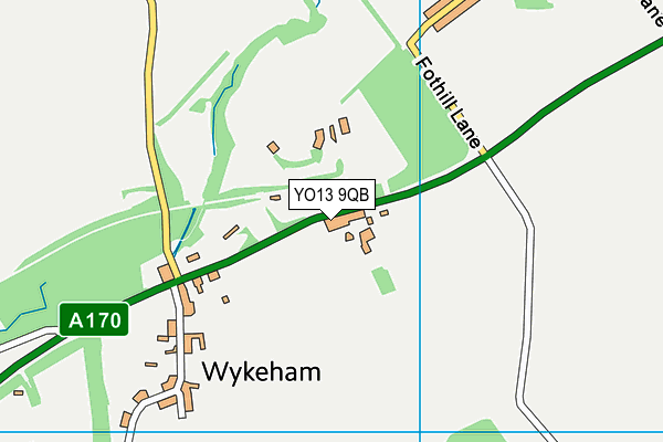 Wykeham Church of England Voluntary Controlled Primary School map (YO13 9QB) - OS VectorMap District (Ordnance Survey)
