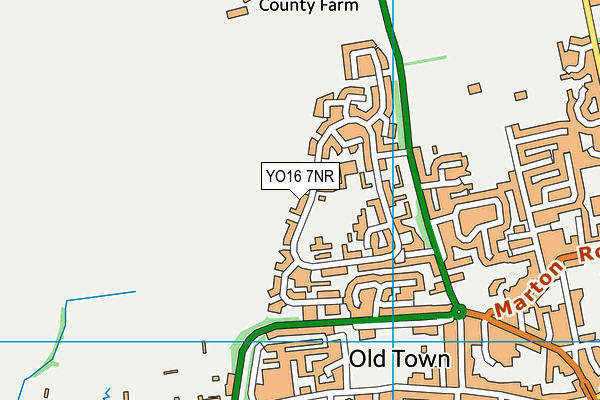 New Pasture Lane Primary School map (YO16 7NR) - OS VectorMap District (Ordnance Survey)